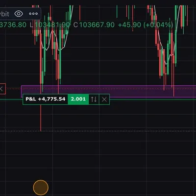 [30일 챌린지 25기 4주차] 수익 인증 2회