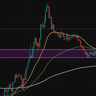 [30일 챌린지 1기 4주차]