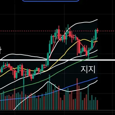 [30일 챌린지 28기 1주차]