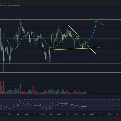 [30일 챌린지 28기 1주차]