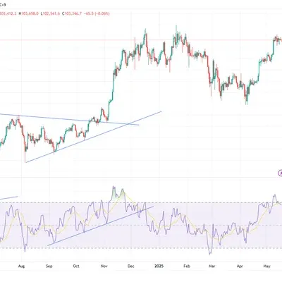 [30일 챌린지 27기 2주차] RSI 차트