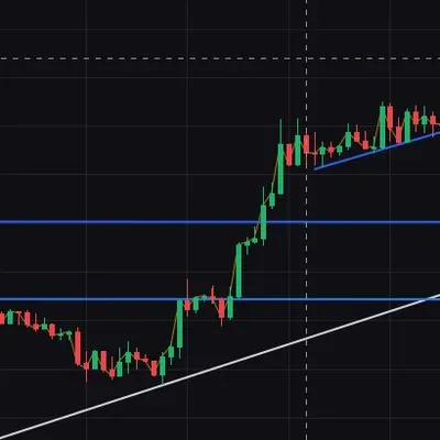 [30일 챌린지 1기 4주차]