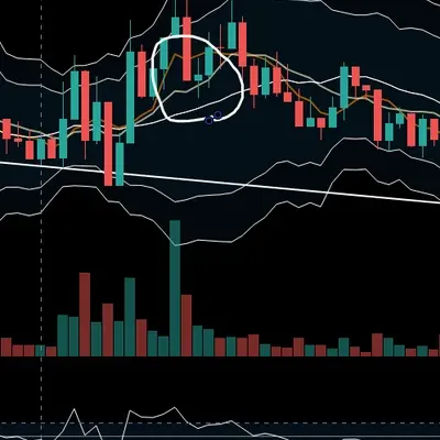 [30일 챌린지 n기 4주차]