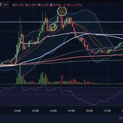 [30일 챌린지 1기 4주차] 수익 인증