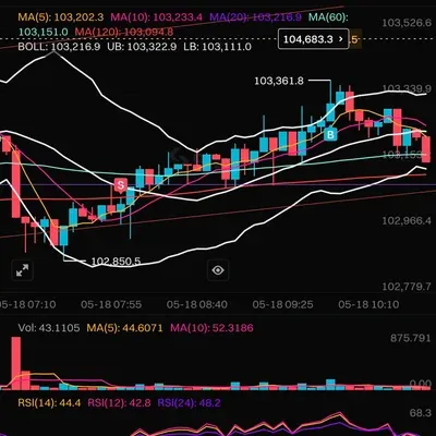 [30일 챌린지 1기 4주차] 숏 손절.