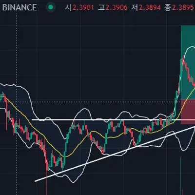 [30일 챌린지 1기 4주차] 실전 트레이딩 진행