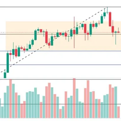 [30일 챌린지 25기 4주차] 