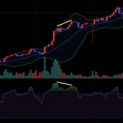 30일 챌린지 3기 11일차