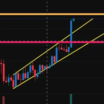 [30일 챌린지 28기 1주차] 트레이딩뷰 작도