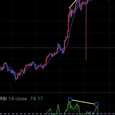 30일 챌린지 3기 11일차 다이버전스