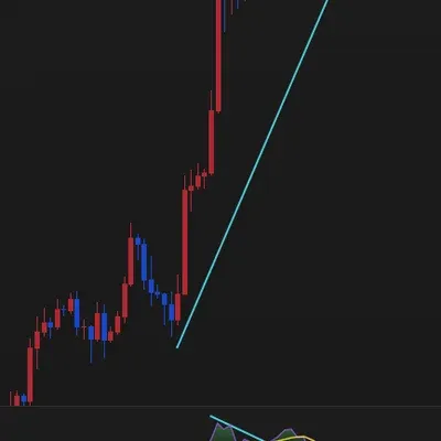 [30일 챌린지 3기 2주차]