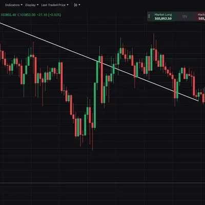 [30일 챌린지 25기 4주차]