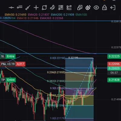 100회 트레이딩 챌린지 (22/100)