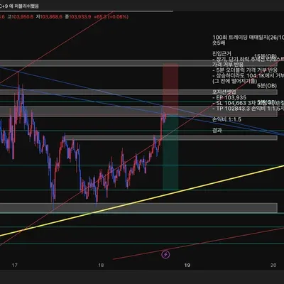 100회 트레이딩 매매일지(26/100)