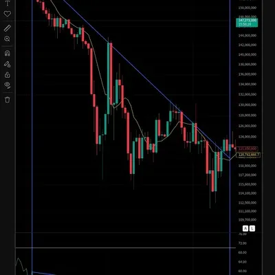 30일 챌린지 3기 11주차