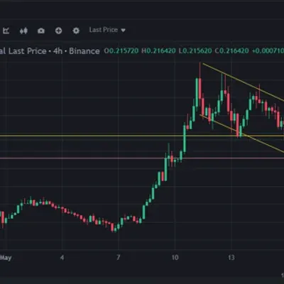 30일 챌린지 1기 4주차 매매일지