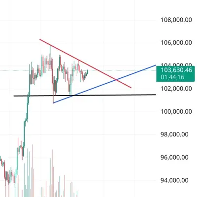 [30일 챌린지 28기 1주차] 작도