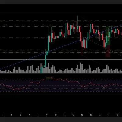 [30일 챌린지 25기 4주차] 