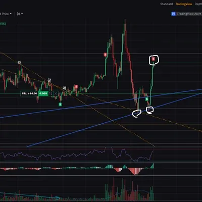 지난번에 이어 추세선 근처에서 매수