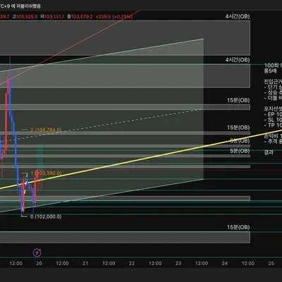 100회 트레이딩 매매일지(27/100)
