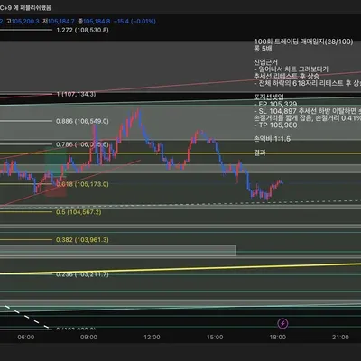 100회 트레이딩 매매일지(28/100)