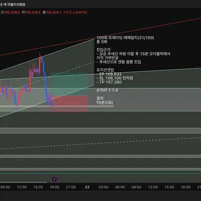 100회 트레이딩 매매일지(31/100)