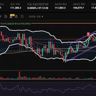 [30일 챌린지 26기 4주차] 눈대중 차트 뇌동매매