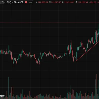 [30일 챌린지 29기 1주차] 4일차 미션!!