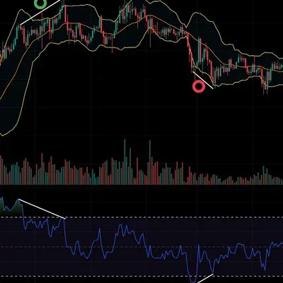 [30일 챌린지 4기 2주차] 다이버젼스 찾기