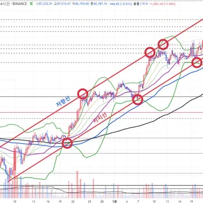 [30일 챌린지 29기 1주차] 지지 저항과 추세선 실습