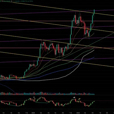 [30일 챌린지 5기 1주차]