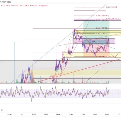 100회 트레이딩 66