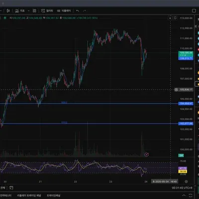 [30일 챌린지 28기 2주차] RSI 보조지표 추가