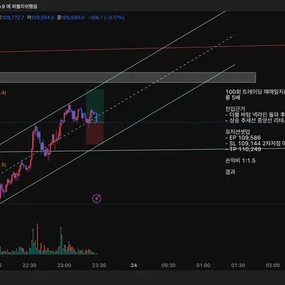 100회 트레이딩 매매일지(37/100)