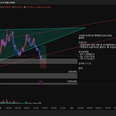 100회 트레이딩 매매일지(35/100)