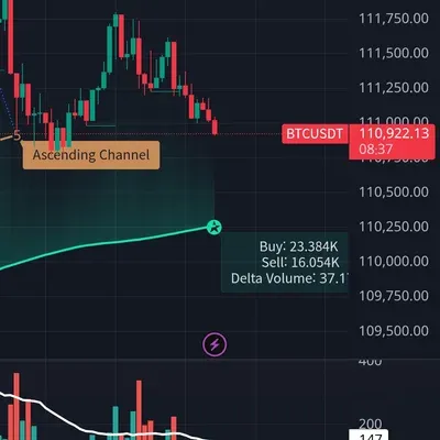 30일 챌린지 5기 1주차