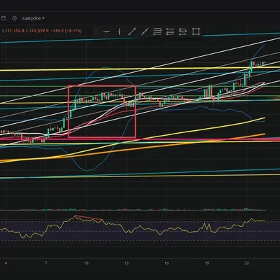 4기_11일차 MISSION_다이버전스
