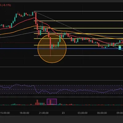 [30일 챌린지 26기4주차] 매매일지