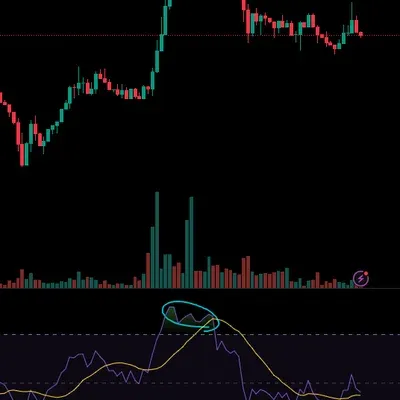 [30일 챌린지 4기 2주차] 다이버전스 찾기