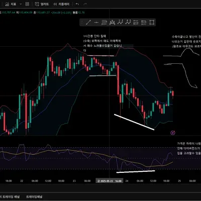 [30일 챌린지 4기 2주차] 다이버전스 찾기