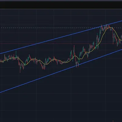 [30일 챌린지 29기 1주차] 추세선