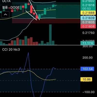 2기 4주차 매매일지