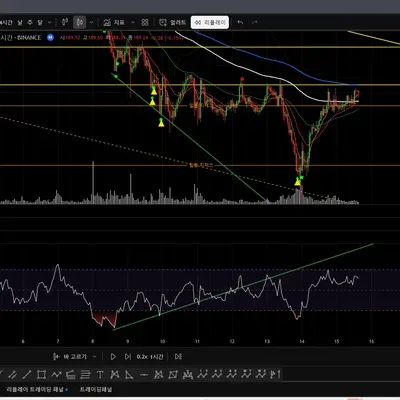 [30일 챌린지 4기 2주차] 다이버전스