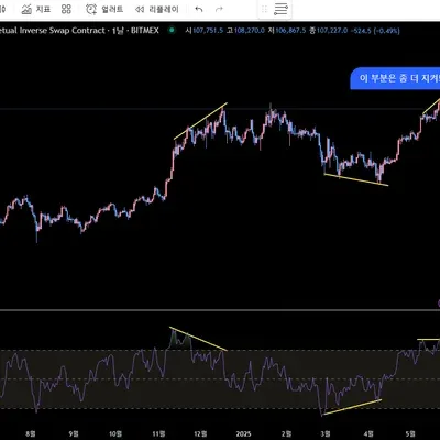 30일 챌린지11일차 다이버전스 이해하기
