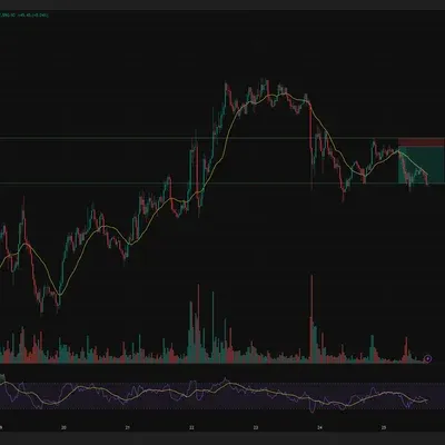 [30일 챌린지 26기 4주차]