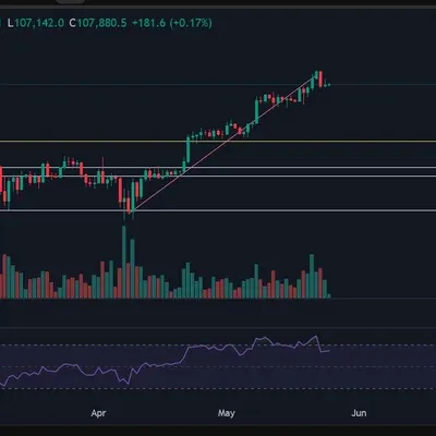 [30일 챌린지 5기 1주차] 트레이딩뷰 셋업 캡쳐