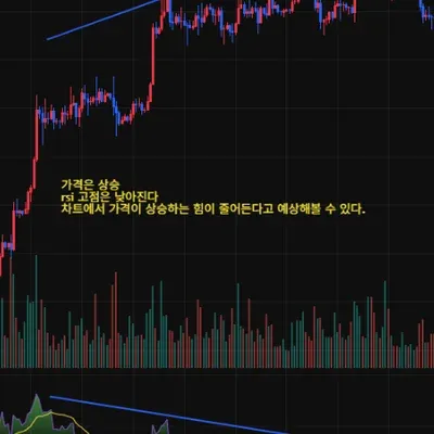 [30일 챌린지 28기 2주차]