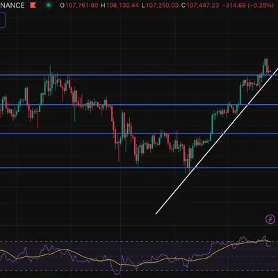 [30일 챌린지 29기 1주차]