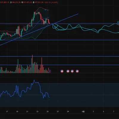 [30일 챌린지 2기 4주차]