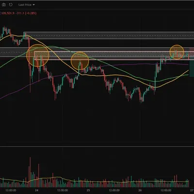 100회 트레이딩(3/100)